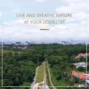 the-myst-live-and-breathe-nature-at-your-doorstep-singapore